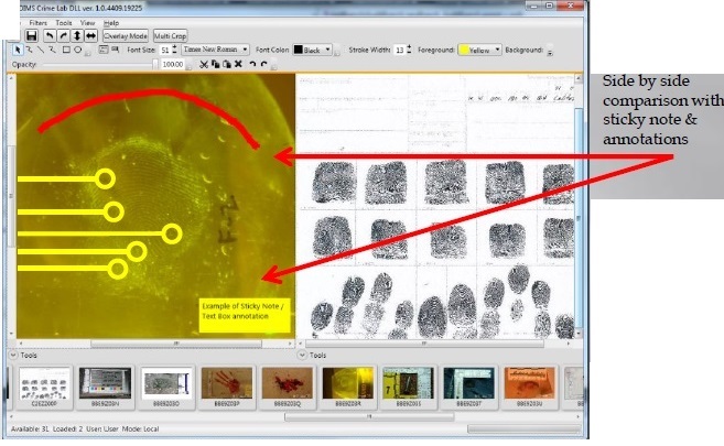 Forensic Analysis 2