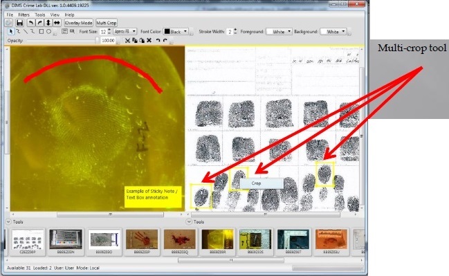 Forensic Analysis 3