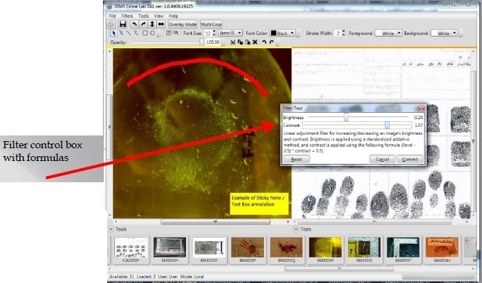 Forensic Analysis 4